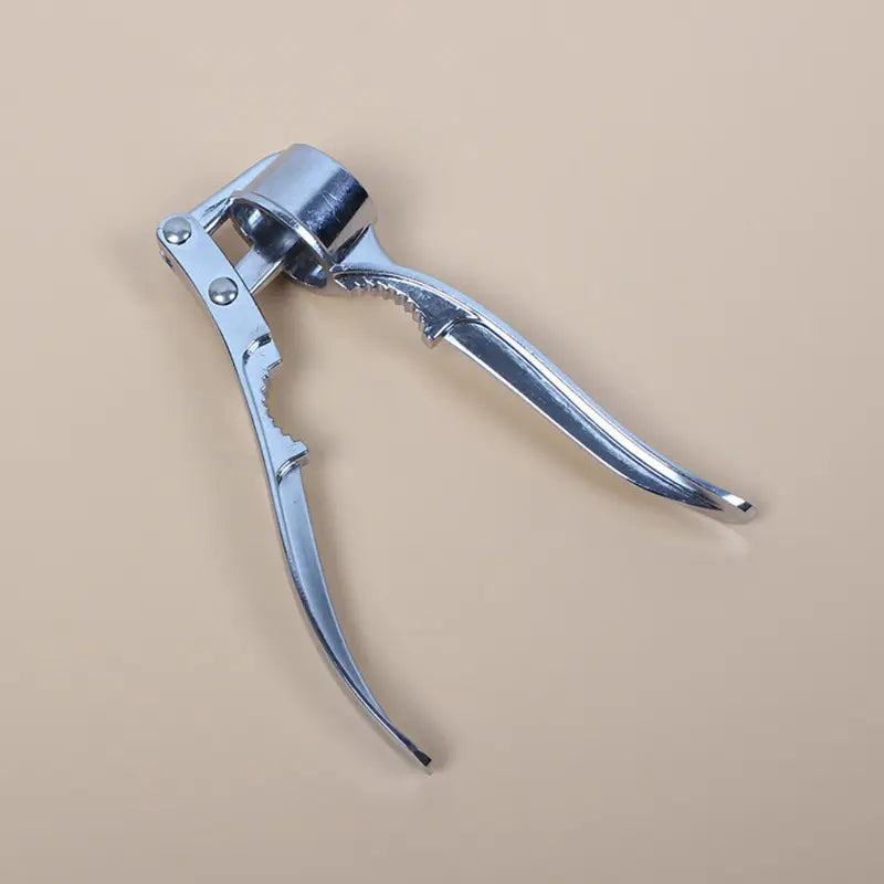 Stainless Steel Garlic Press – Durable Manual Garlic & Ginger Crusher with Comfortable Handle