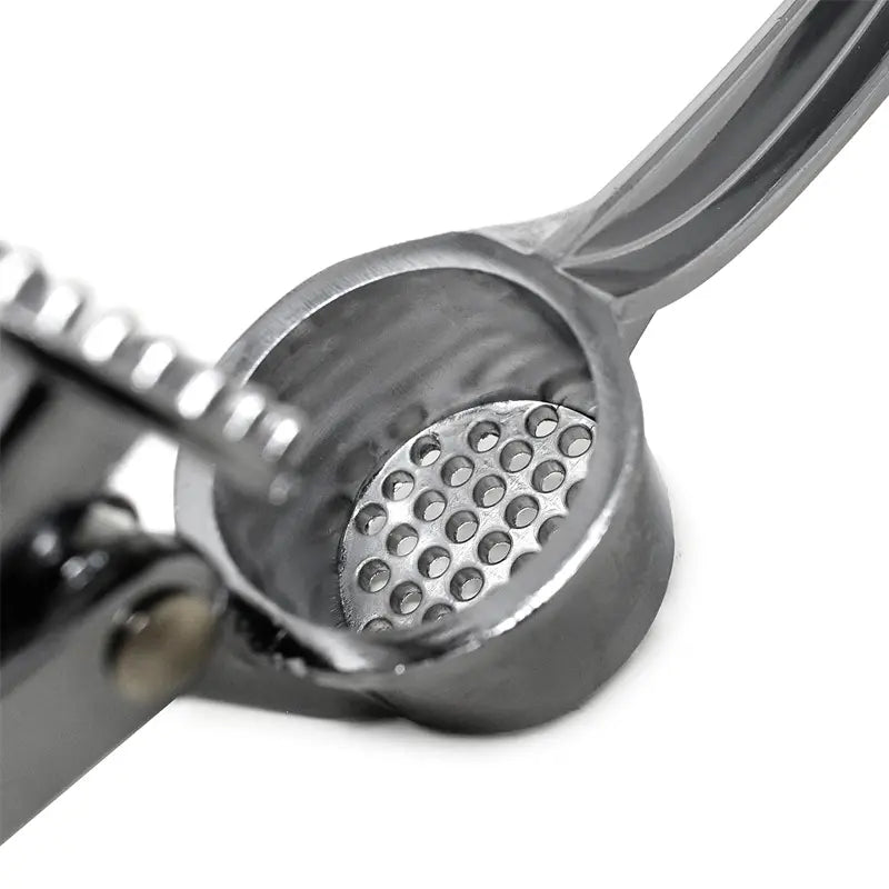 Stainless Steel Garlic Press – Durable Manual Garlic & Ginger Crusher with Comfortable Handle